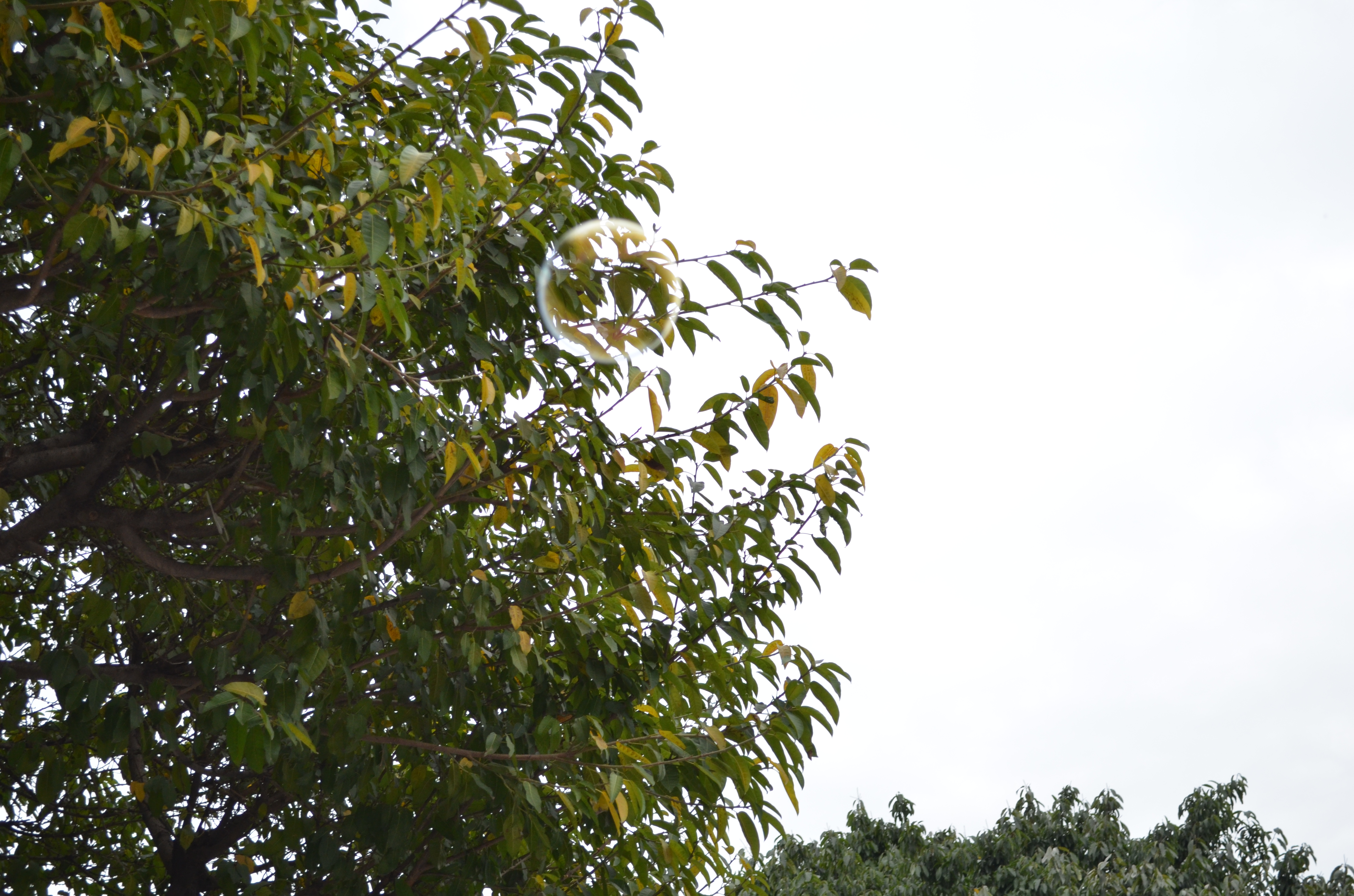 ./2018/03 - Viking China/15 - Chongqing/DSC_0846.JPG